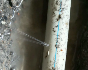 柯桥卫生间测漏水多少钱